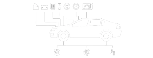 Expertos en aduanas, logística y soluciones a tu medida